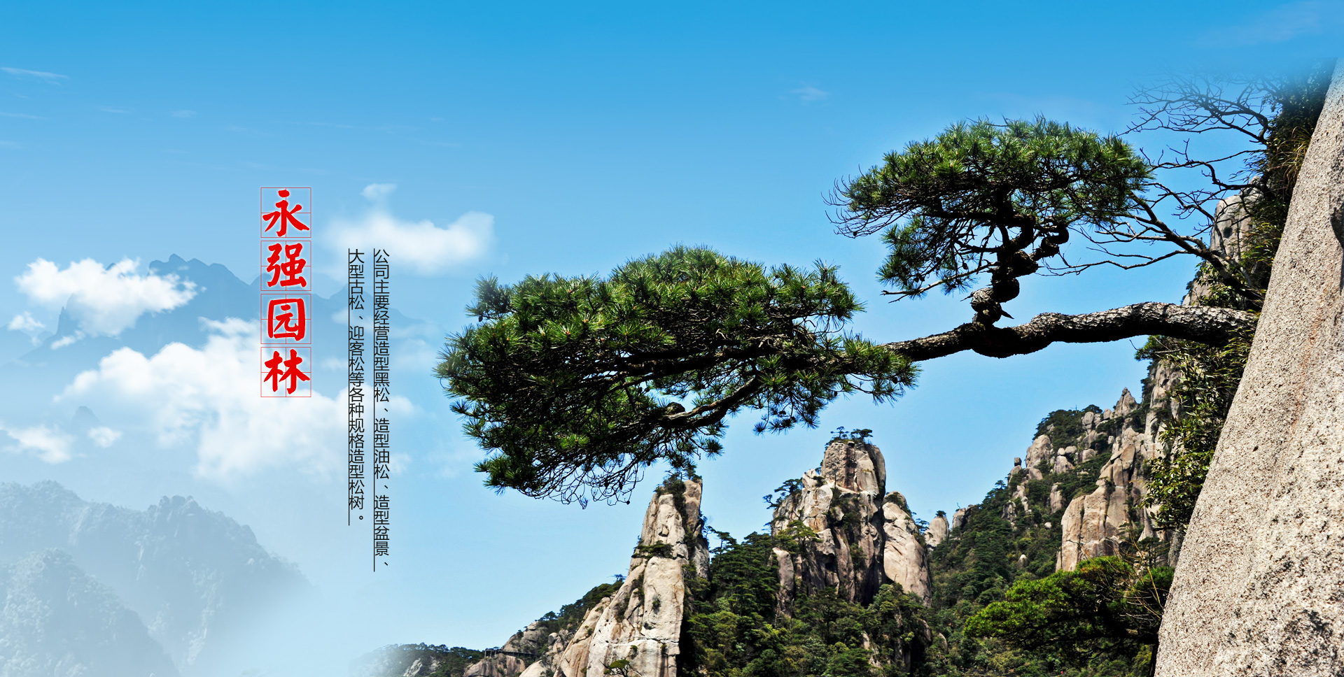 濟(jì)寧協(xié)創(chuàng)商貿(mào)